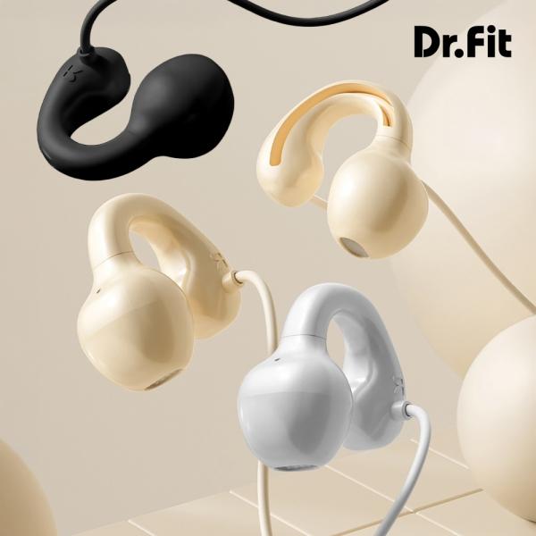 닥터핏 DFR C타입 스테레오이어폰 []