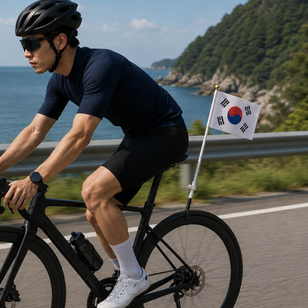 스포츠 응원깃발 태극문양 수기 다양한 행사 직관