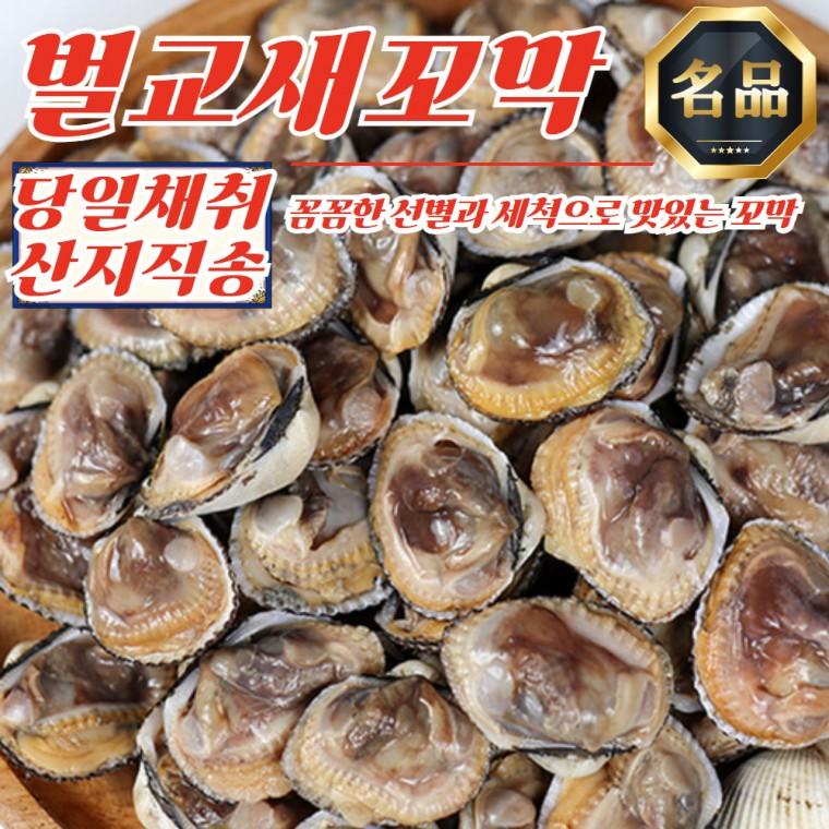 당일채취 산지직송 벌교 새꼬막 대 2kg (1kg x 2개)