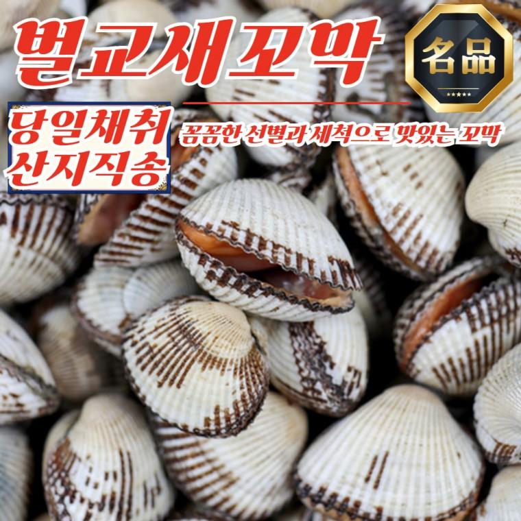 당일채취 산지직송 벌교 새꼬막 중 2kg (1kg x 2개)