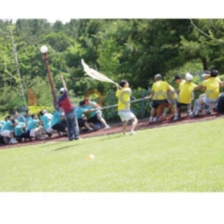 놀이와행사 줄다리기줄 학교 30M 체육 운동회 로프 운동회줄다리기