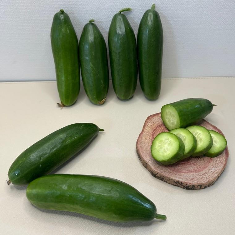 국내산 수분가득 미니오이 1kg(8-12개내외)