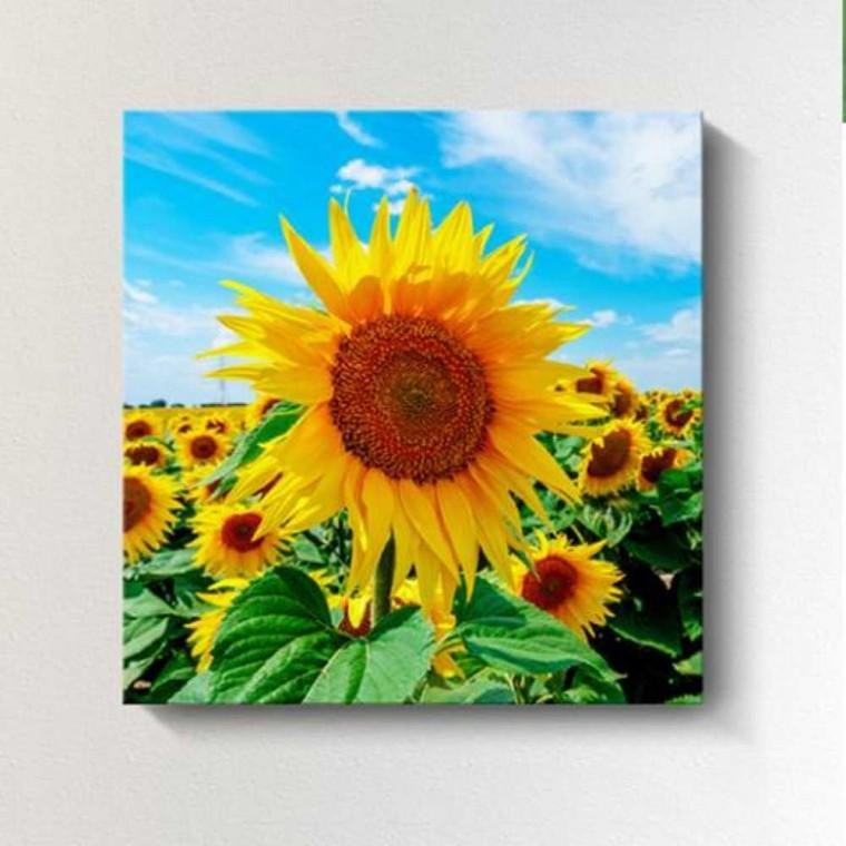 해바라기 그림 인테리어 액자