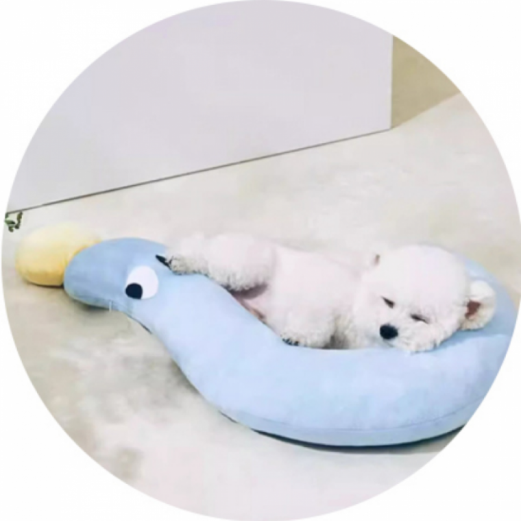 강아지 고양이 수면쿠션 반려동물 애착베개 편안한 휴식 배게
