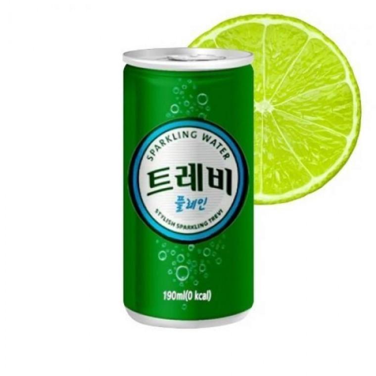30캔 190ml 플레인 트레비 롯데칠성