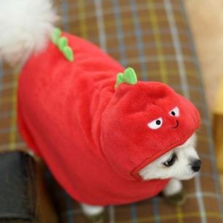 패리스독 웜 가운 캐릭터 공룡 레드 L-XL 담요 방석 쿠션 강아지