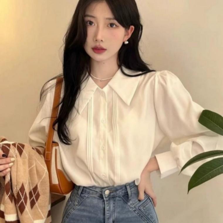 여성 모던 고급 하객룩 셔츠 클래식 브로드카라 블라우스