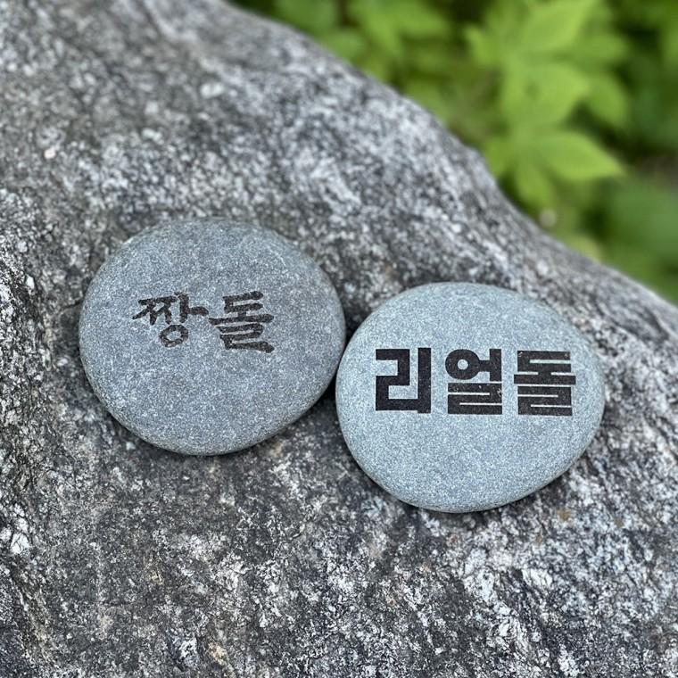 반려돌 애완돌 웃긴 선물 [짱돌 & 리얼  돌 인싸템 특별한 특이 생일 펫스톤 돌 키우기]