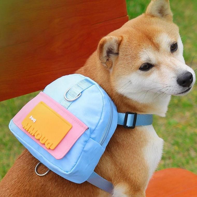 애견가방 백팩 강아지 가방 하네스 산책 유치원 리드줄
