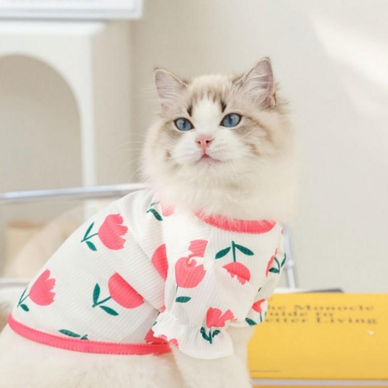 강아지 PET 옷 와플 튤립 퍼프 티셔츠 원피스 실내복