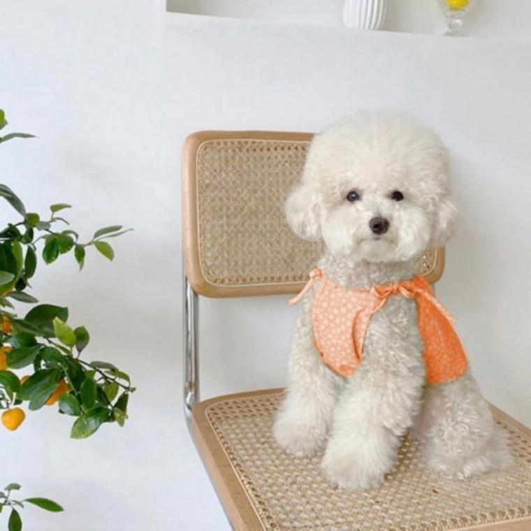 강아지 PET 꽃무늬 원피스 리본 드레스 나시 실내복