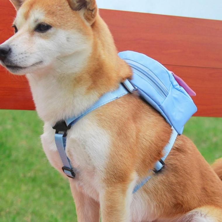 강아지 PET 유치원 산책 리드줄 하네스 가방 백팩