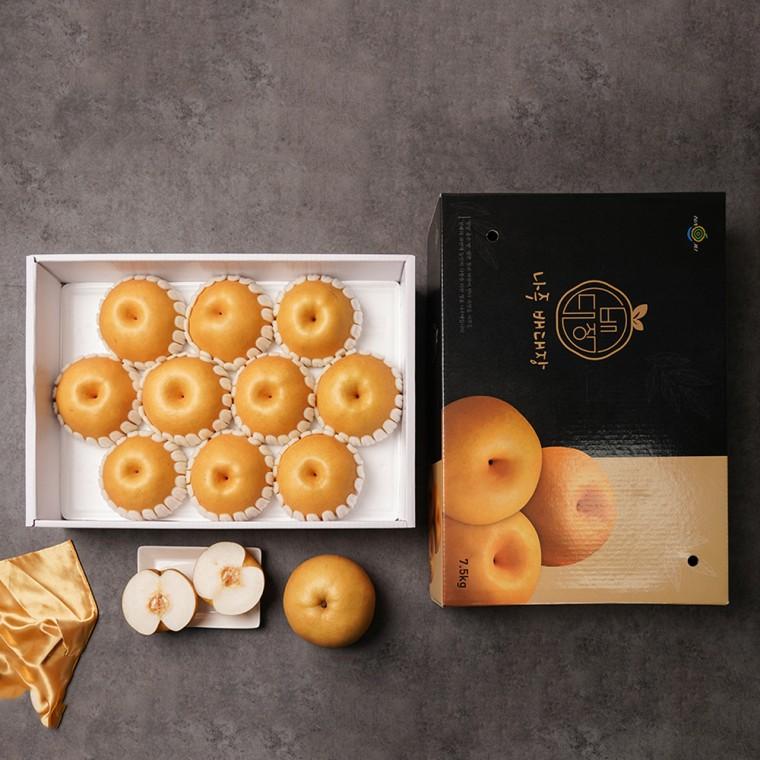 나주 배 선물세트 5kg 5-8과 (특대과)
