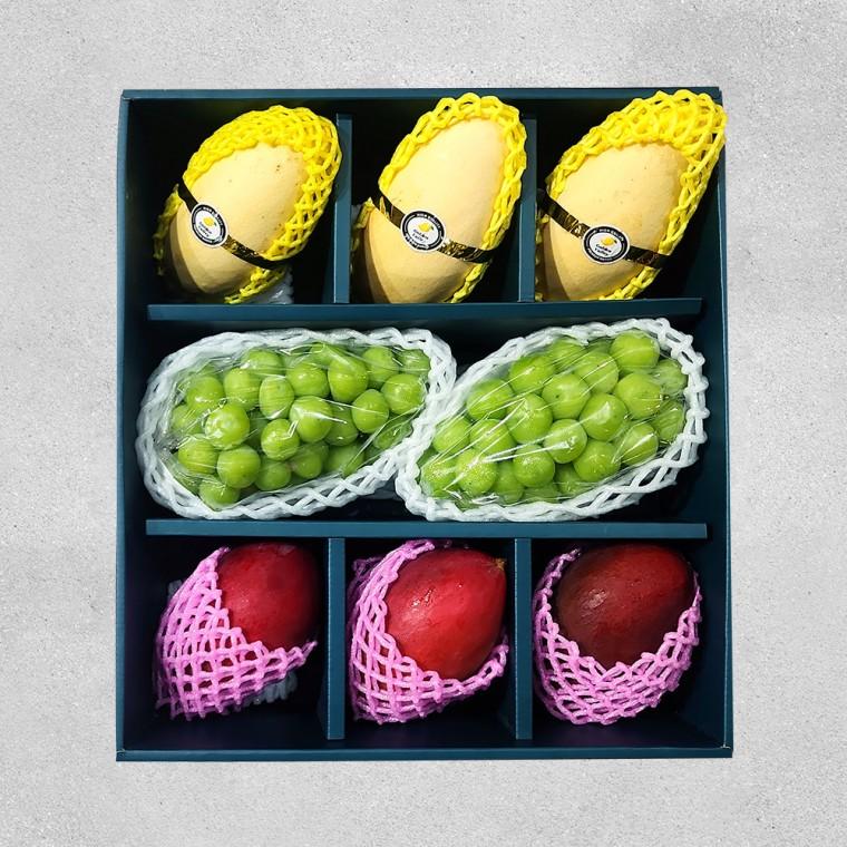 고당도 명품 9구 과일 선물세트 7호 4kg 내외 샤인 2수 / 골드망고 3과 / 망고 3과