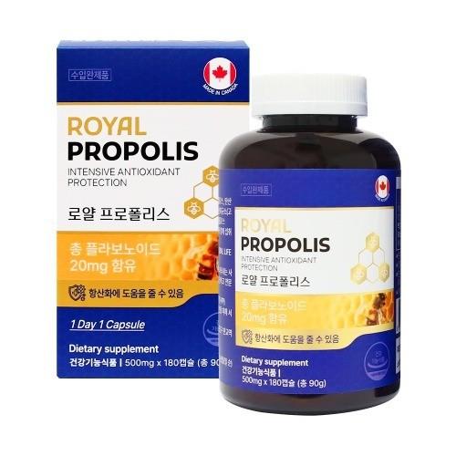 캐나다 로얄 프로폴리스 500mg x 180캡슐