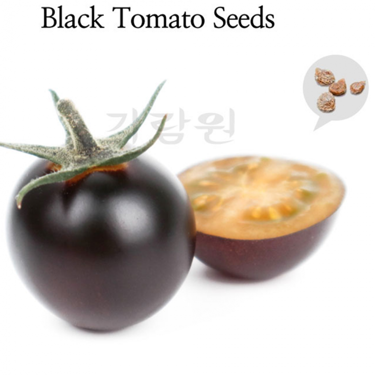 토마토 씨앗 원형 검정 토마토 씨앗 방울 인디고 채소 종자 10립