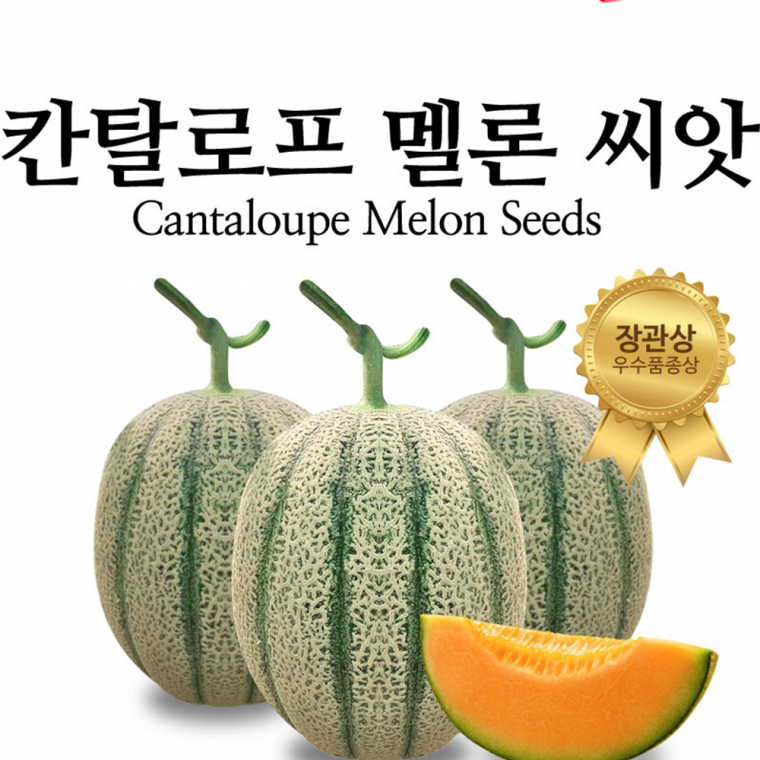 칸탈로프 멜론 씨앗 종자 과일씨 10립