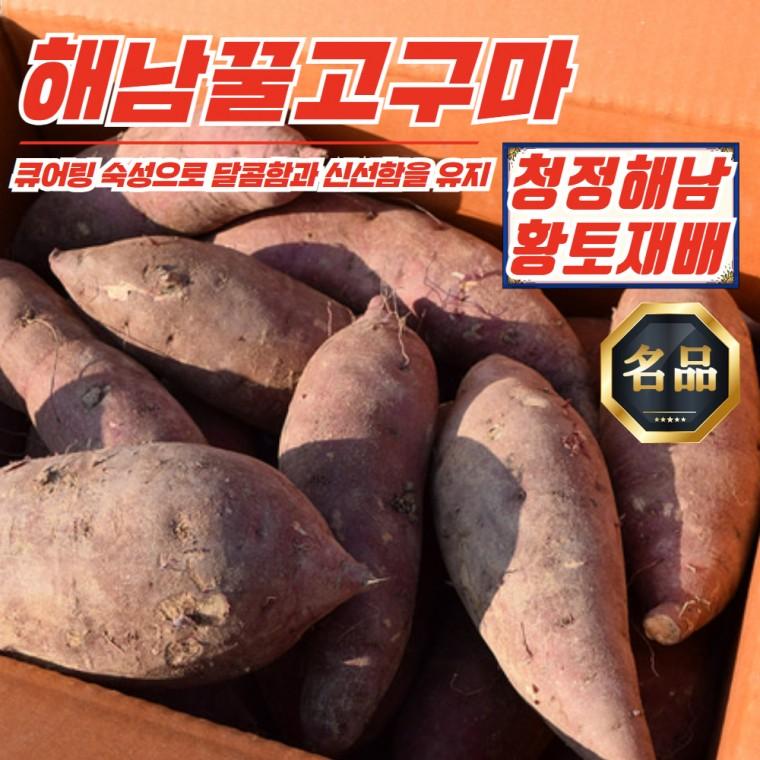 해남 황토 베니하루카 꿀고구마 5kg 중상 (50g-100g)