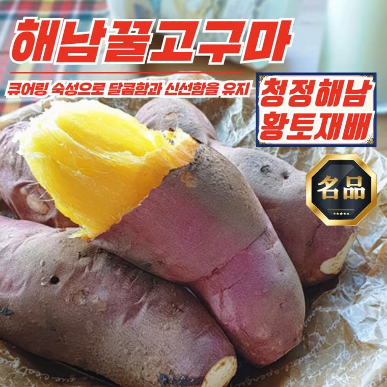 해남 황토 베니하루카 꿀고구마 3kg 한입 (60g이하)
