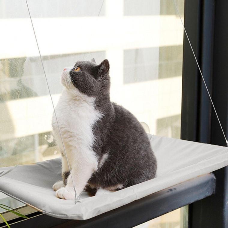 고양이 창문 해먹 사각 침대 유리창 캣타워 흡착식 창문해 먹선반 창틀 유리창캣 창문캣