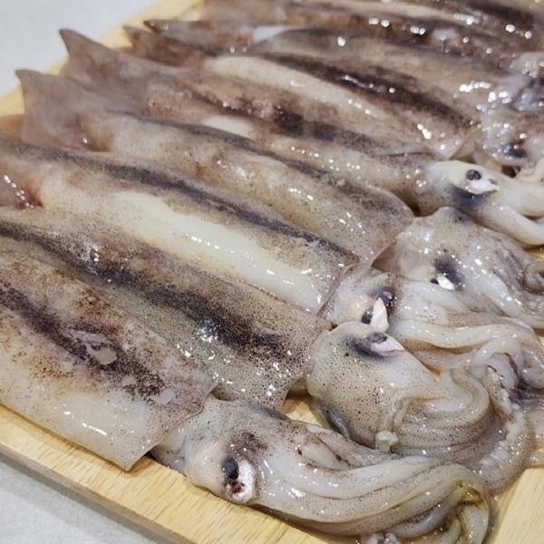 국내산 통찜용 선동오징어 3kg