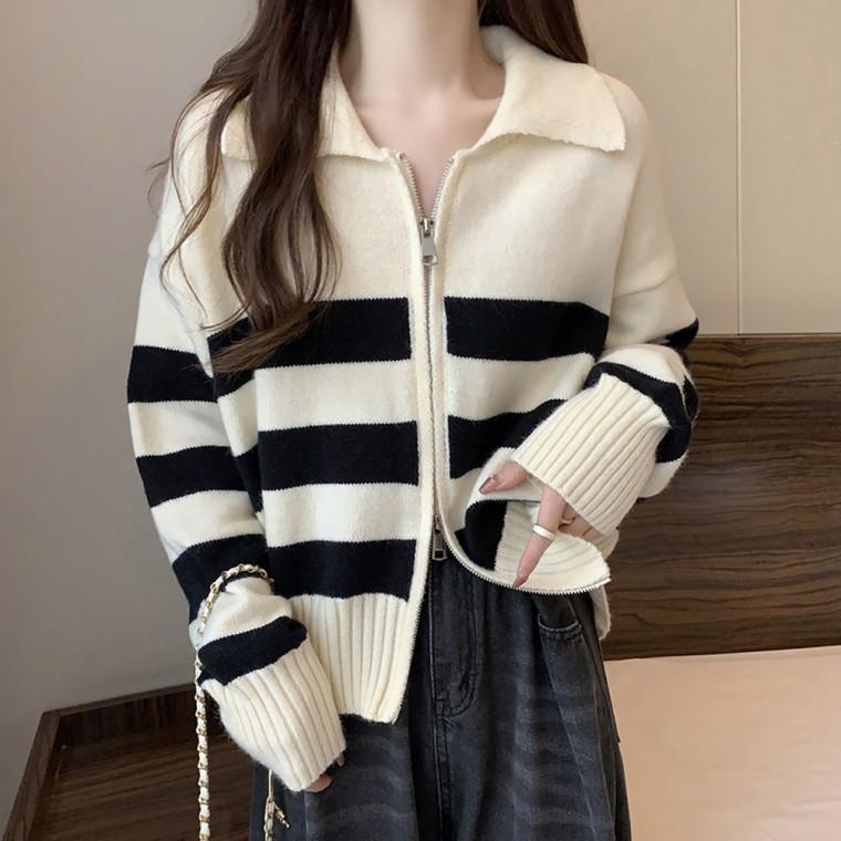 카라 줄무늬 단가라 집업 가디건 봄 가을 캐주얼 심플