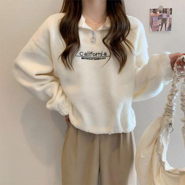 여자 가을상의 캐주얼 하프 아노락 플리스 긴팔 반 집업