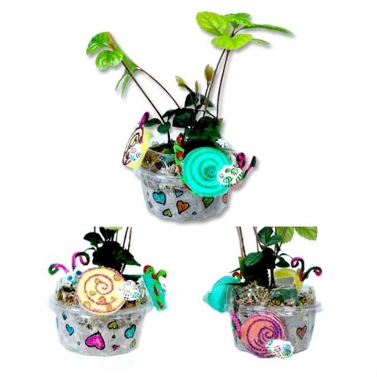 5개묶음 달팽이 화분 꾸미기 만들기 키트 재료 DIY 세트
