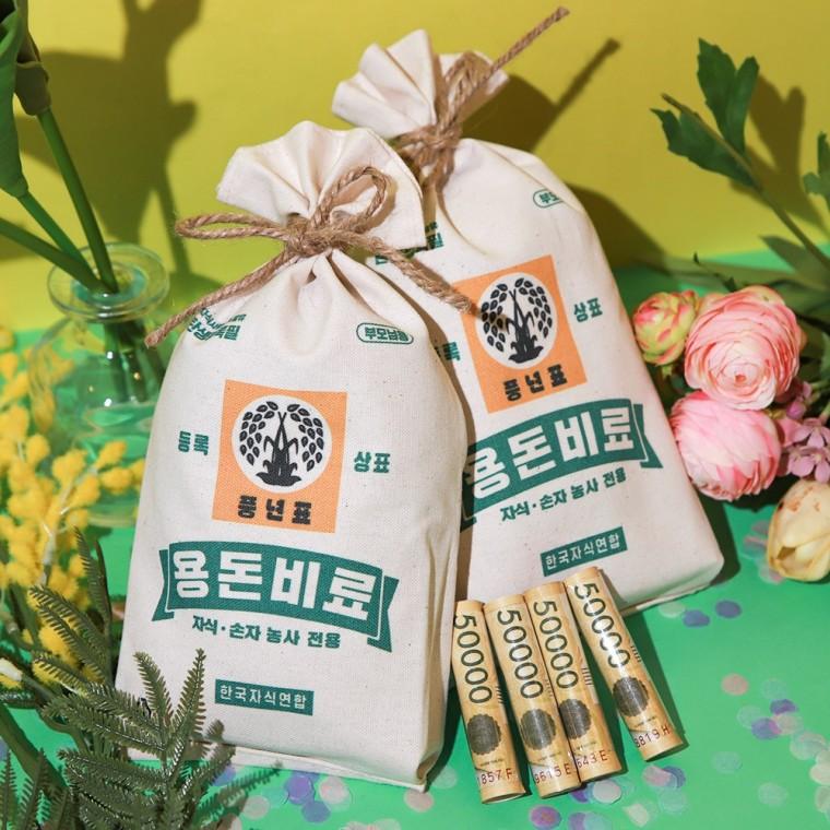 비료 용돈 돈 현금 봉투 [ 반전 용돈 이벤트 박스 어버이날 선물 부모님 생일 생신 포장]