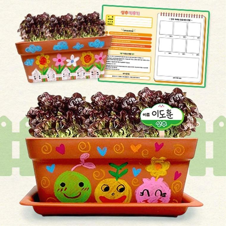 나만의 상추 화분 만들기 키트 재료 DIY 세트 씨앗 배양토 기록지