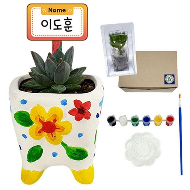 다육이 미니 화분 꾸미기 만들기 키트 재료 DIY 세트