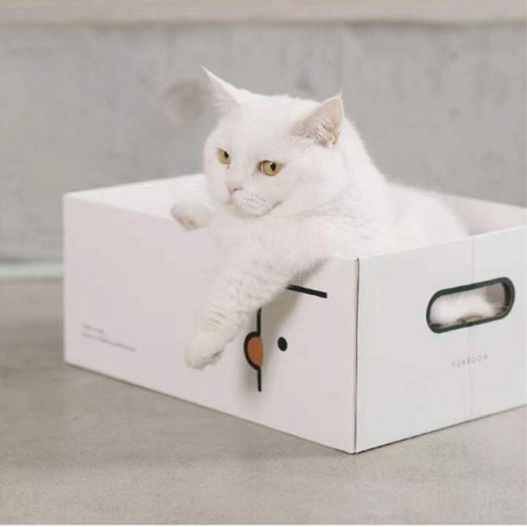 오리 고양이 박스 스크래처 하우스 1P 숨숨집 발톱