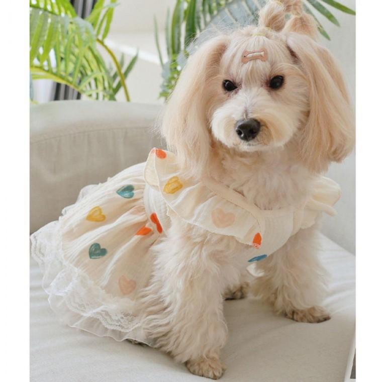 하트 강아지 소매러플 원피스 소형 1P 레이스 치마