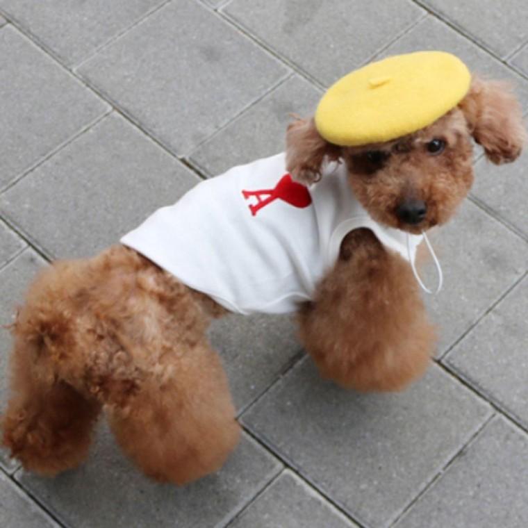 하트 강아지 베이직 나시티 아이보리 1P 티셔츠 여름