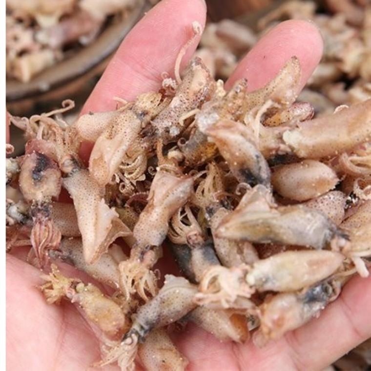 VB 꼴뚜기 마른꼴뚜기 건꼴뚜기 1kg