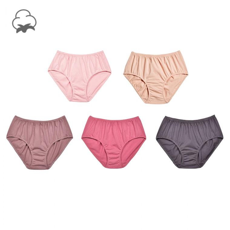 여성순면팬티세 면 100% 5장세트 맥시팬티 편한팬티 데일리팬티
