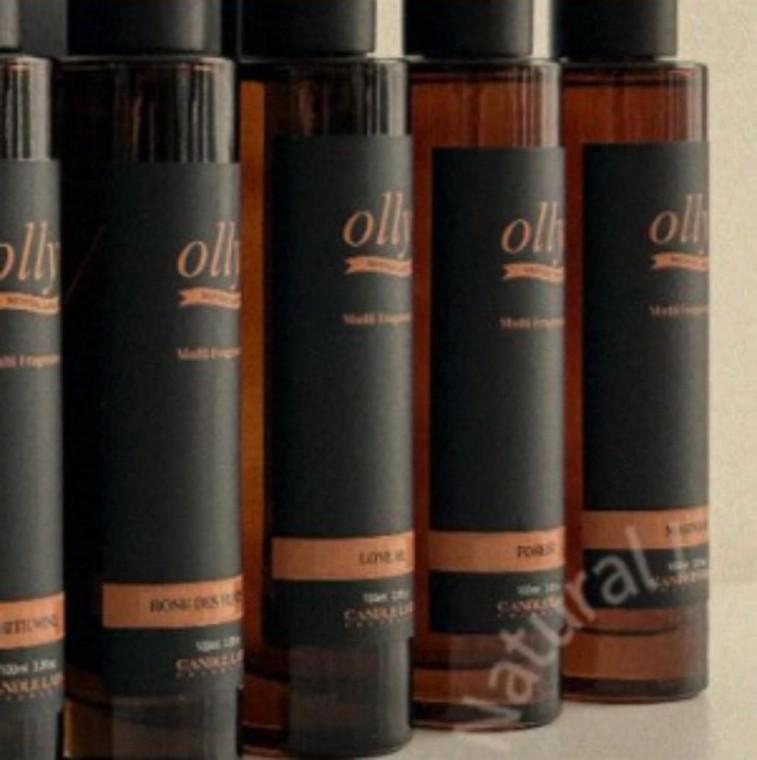 올리 룸스프레이 멀티 100ml 러브미