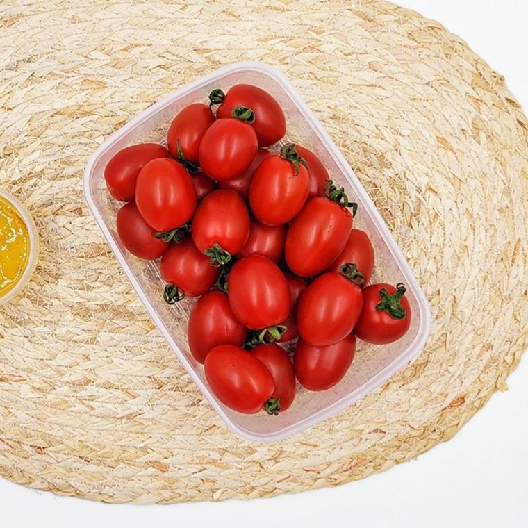 야채보관 830mL 나카야밀폐통 정리 반투명밀폐통 일본밀폐용기 D형