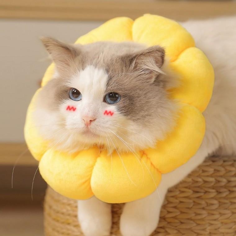 넥카라 L 쿠션 노랑 고양이 목보호대 깔대기 강아지