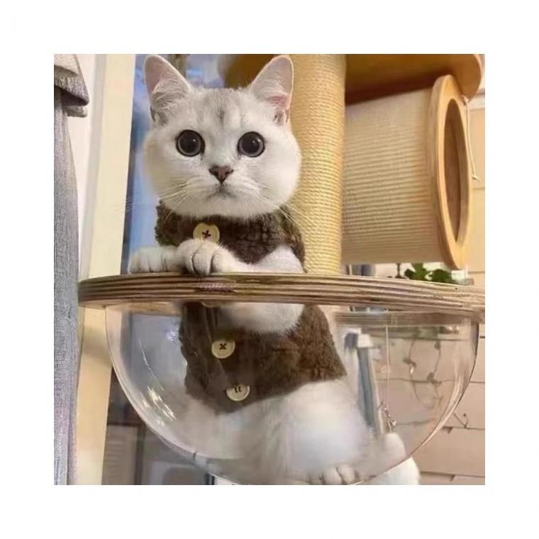 루미나D 조끼 겨울 고양이 뽀글이 후리스 강아지옷