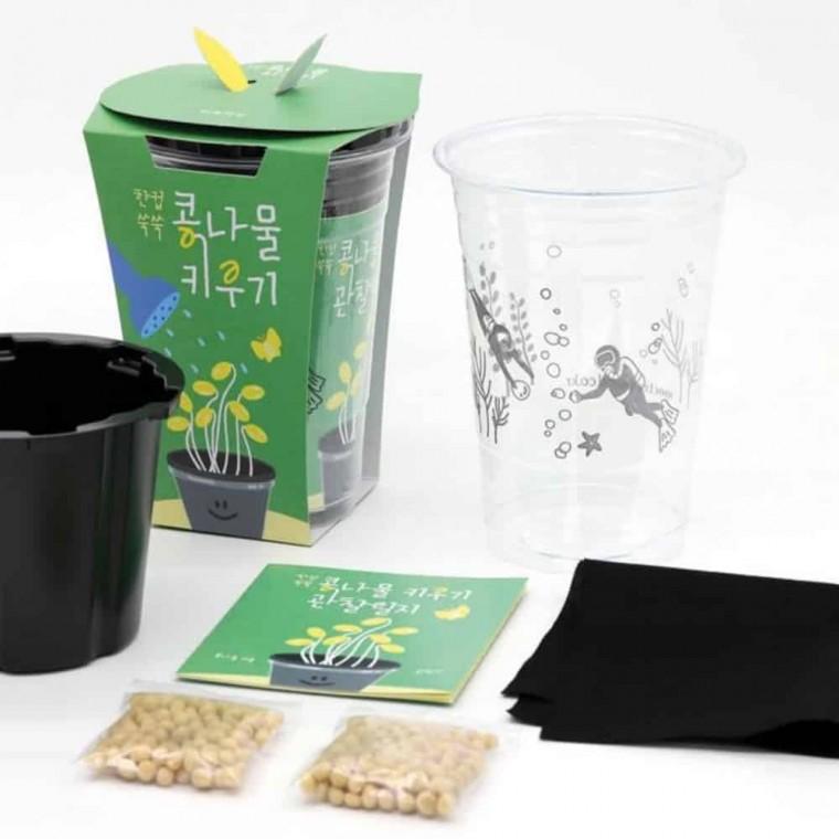 콩나물키우기 식물기르기 유치원원예체험 식물키트 초미니화분