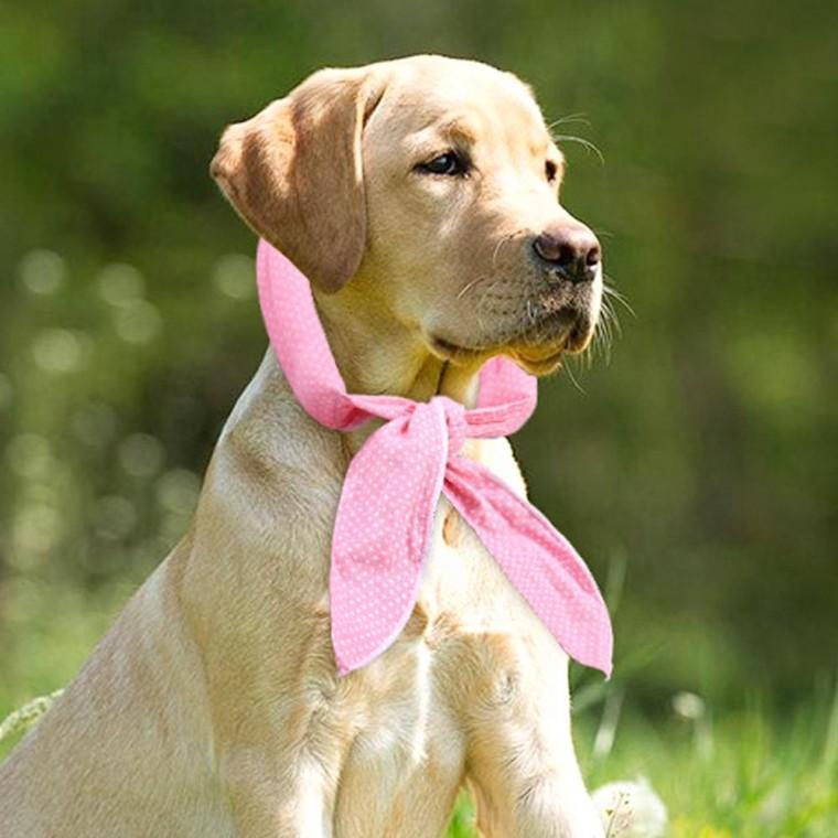 강아지 쿨 스카프 조끼 아이스팩 고양이 더위
