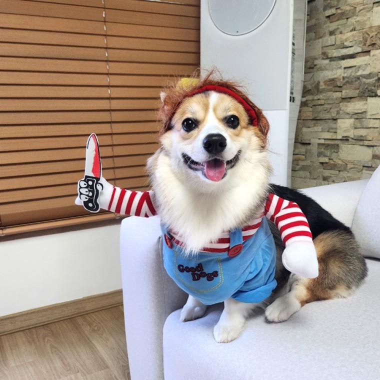 강아지 할로윈 옷 코스튬 애견 처키 M