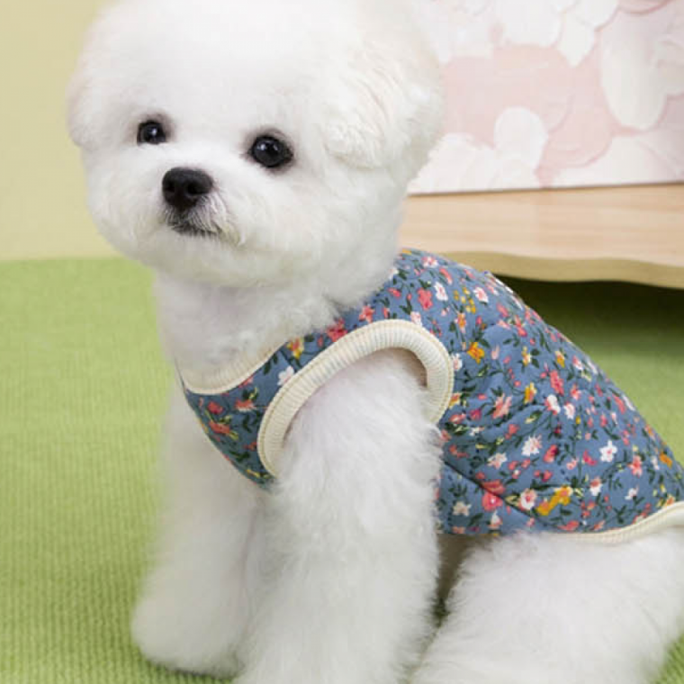 반려동물 아우터 산책 야외활동 데일리 강아지 외투
