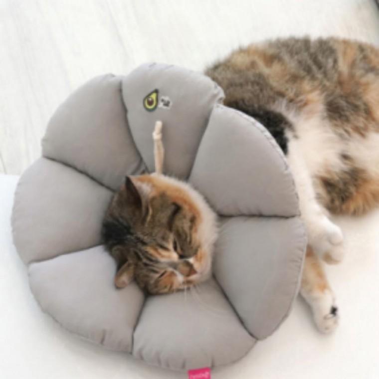 강아지 고양이 목보호대 쿠션 애견 넥카라 베이지 XL