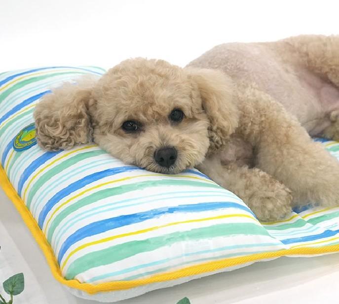 반려견 애견 실내휴식 낮잠 베드 쿠션 방석 강아지 옷 EA스트라이프