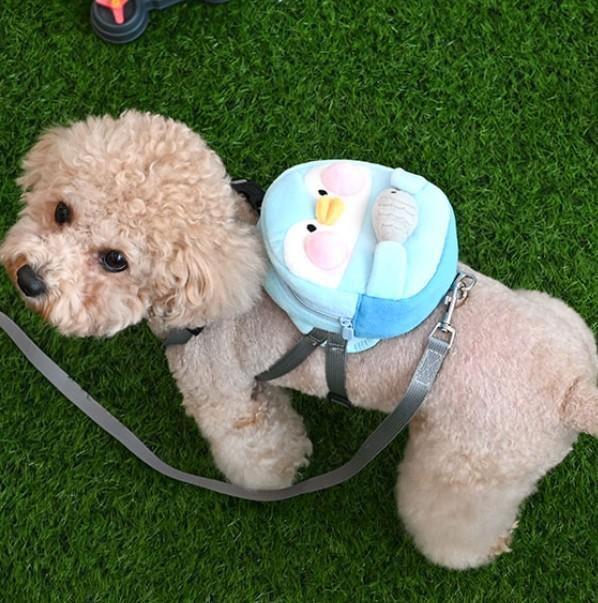 반려견 애견 외출 산책 백팩 하네스 가슴줄 리드줄 강아지 옷 EA귀여워