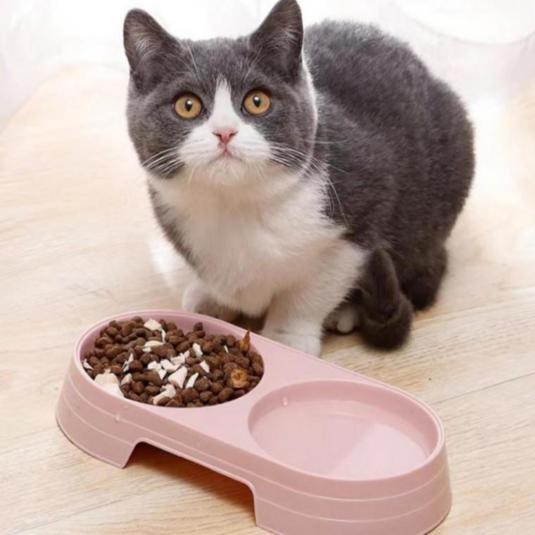 밥그릇 고양이 강아지 식기 더블 애견식기 급식기