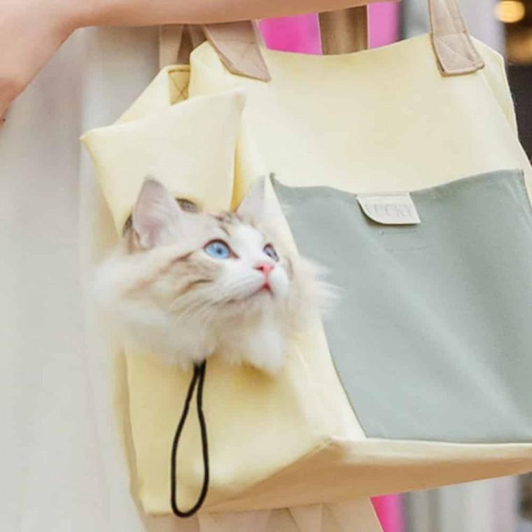 럭키 고양이 가방 푸들이동가방 강아지산책가방