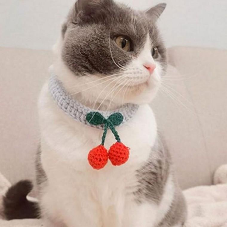 뜨개 케이프 강아지 PET 고양이 스카프 체리
